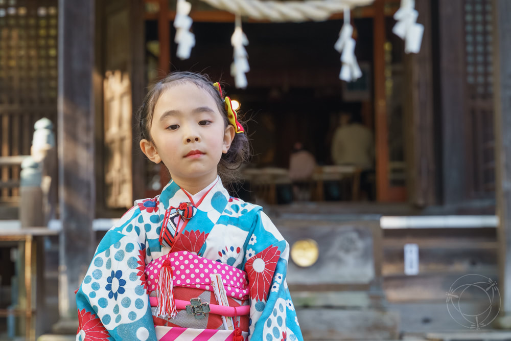 Shichigosan, 七五三、Japan, 7 year old girl, Kimono, 